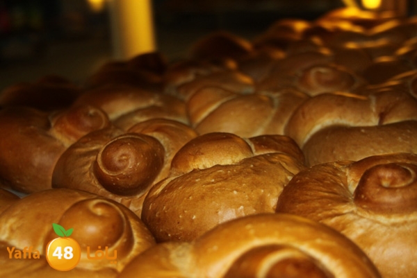 k7eelkhobzn455 (12).JPG